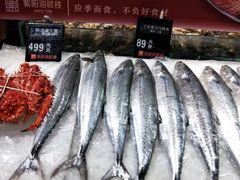 -紫阳海鲜楼·传承闽味(长乐路总店)