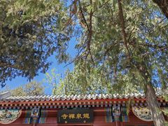 -大运河源头遗址公园