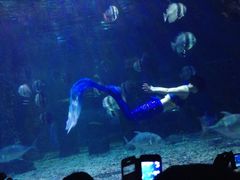 iphone_upload_pic-台州海洋世界