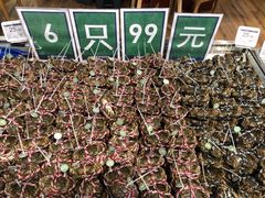 -七鲜超市(万向城店)