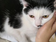 -美迦爱-牙专科·兔科·骨科诊疗中心(北苑店)