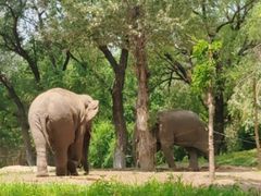 -北京野生动物园