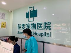 -佳雯宠物医院(金华南路分院)