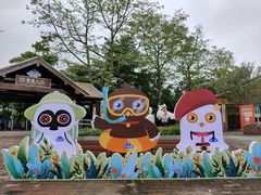 -大湾区中央湿地公园