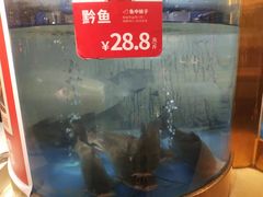-蜀滋香鲜鱼美蛙火锅(339店)