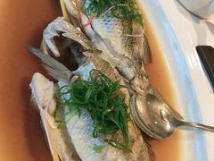 -新海利海鲜城·41年珠海老字号(夏湾店)