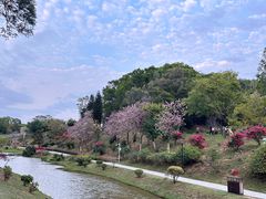 -东莞植物园