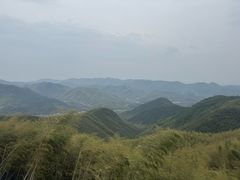 -莫干山风景区