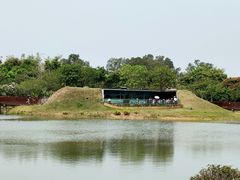 -福田红树林生态公园