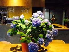 -1984魔法桌游(观音桥店)