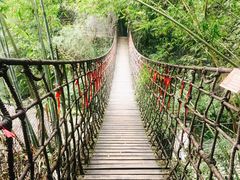 -阿依河景区