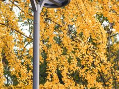 -成都市活水公园