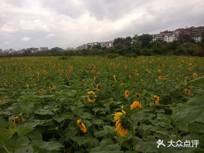 贵阳市花溪国家城市湿地公园图片