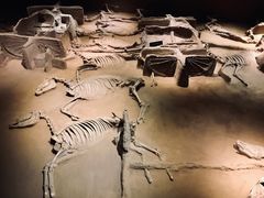 -洛阳周王城天子驾六博物馆