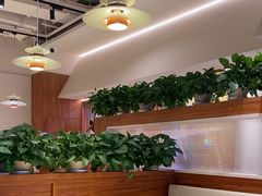 -姥姥家春饼店(惠新东街店)