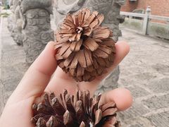 -宝通禅寺