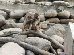 -常州淹城野生动物世界