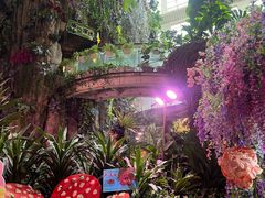 -正佳雨林生态植物园