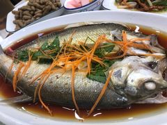 -丹水桥地锅鱼·翘嘴鲌·地方特色全鱼宴(丹江口大坝店)