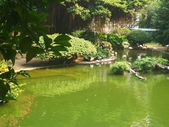-九龙公园
