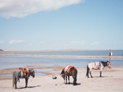 -青海湖国家重点风景名胜区