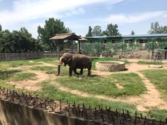 -西安秦岭野生动物园