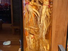 -长寿参鸡汤(朝韩风情街店)