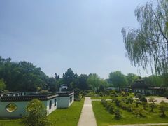 -盆景园(扬州大运河文化旅游度假区)