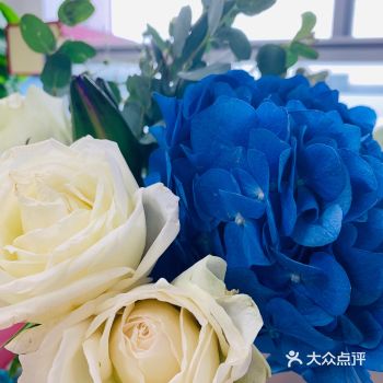 今天才知道 绣球和睡莲都是特别容易缺水的花花  