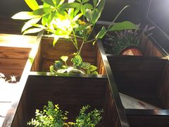 -云顶新茶(中洲店)