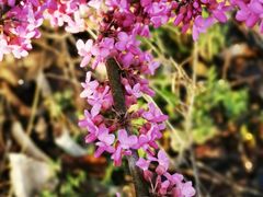 -天台山赤城山景区