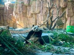 -泉州海丝野生动物世界