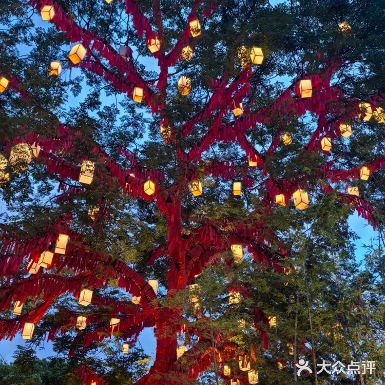 今天这锅鲜鱼汤真是鲜掉眉毛了！