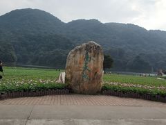 -广州市石门国家森林公园