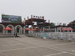 -曹州牡丹园