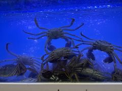 -蟹状元大闸蟹·年货·粽子(成都成华店)