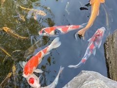 -新荣记(西溪湿地店)