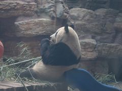 -石家庄极地海洋世界