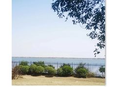 -江滩湿地公园