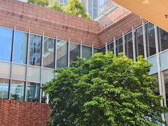 -香港大学