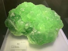 -湖南省地质博物馆