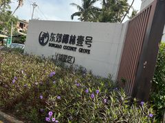 -东郊椰林