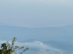 -武陵山森林公园