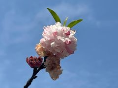 -福州大学(旗山校区)