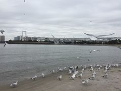 -台场海滨公园船码头