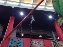 -蒙特利亲子乐园