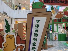 -凯德MALL(西直门店)