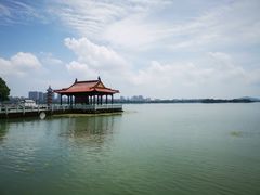 -无锡蠡湖国家湿地公园-蠡园