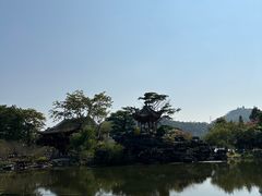 -顺峰山公园