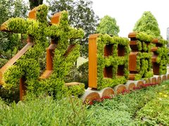 -铁山坪森林公园